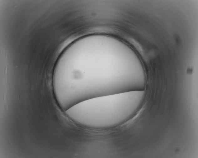 X0000102221465200807250735