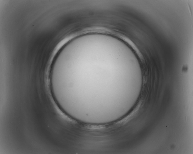 X0000102221466200807250735