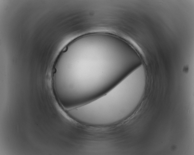 X0000102221468200807250735