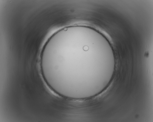 X0000102221470200807250735