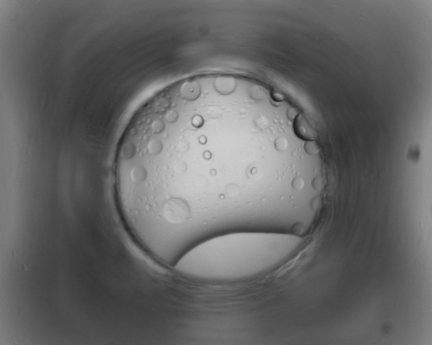 X0000102221471200807250735