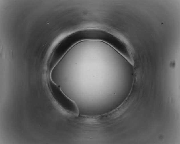 X0000102221472200807250735