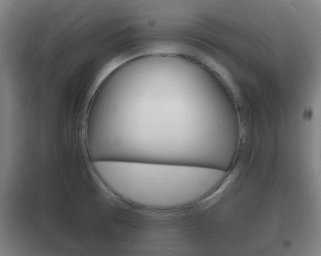 X0000102221473200807250735