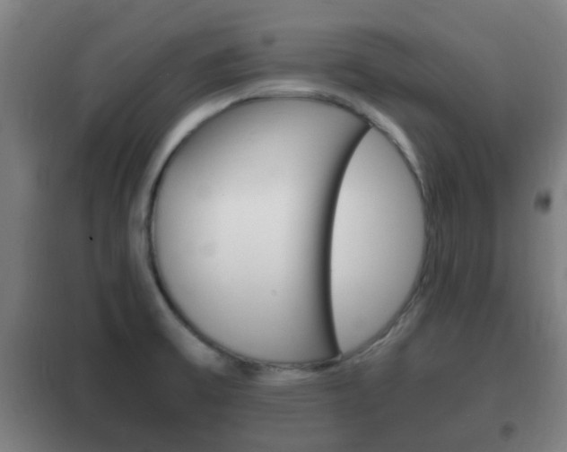 X0000102221475200807250735