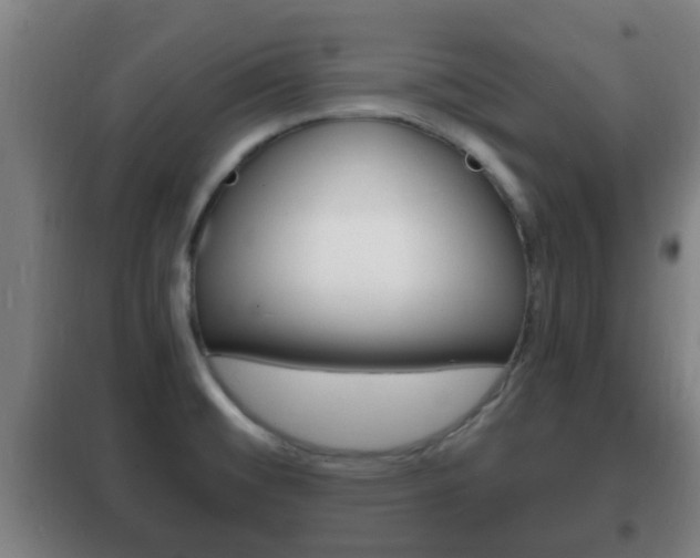 X0000102221476200807250734