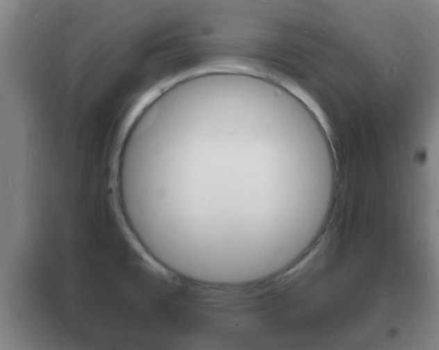 X0000102221477200807250734