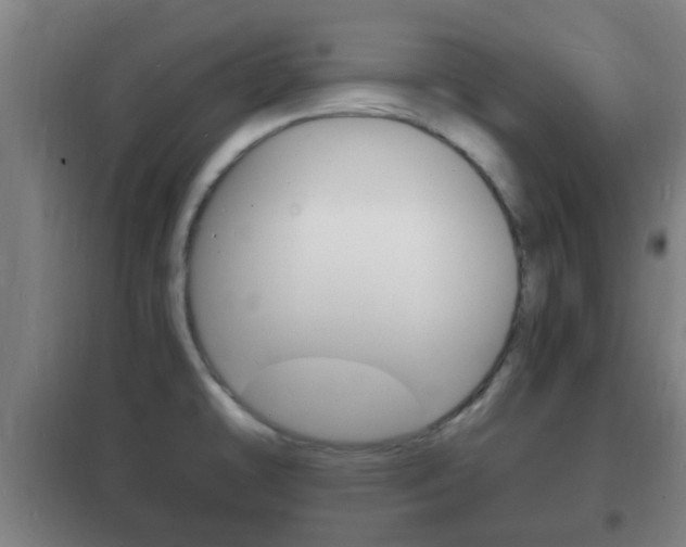 X0000102221478200807250734