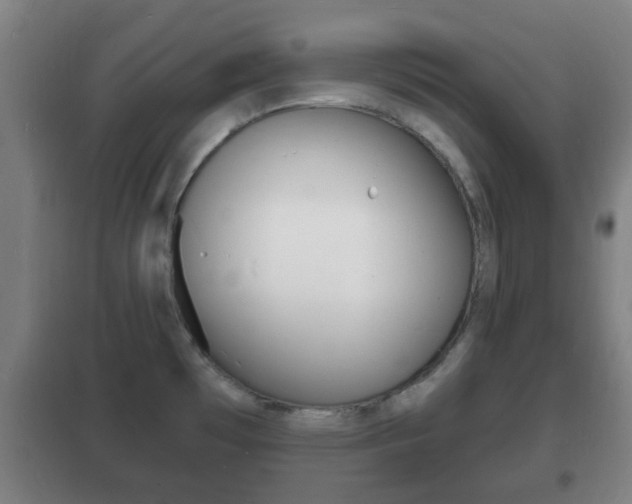 X0000102221481200807250734