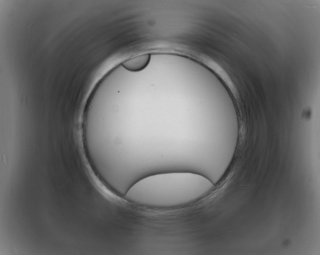 X0000102221482200807250734