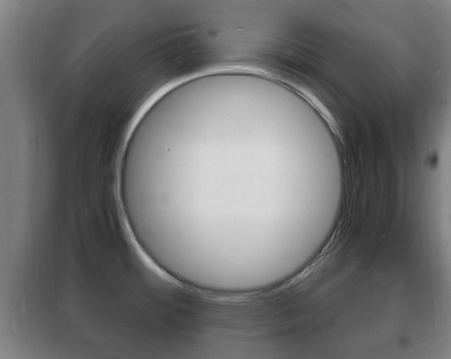 X0000102221484200807250734