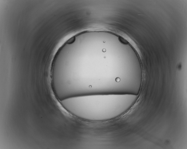 X0000102221485200807250734