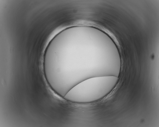 X0000102221486200807250734