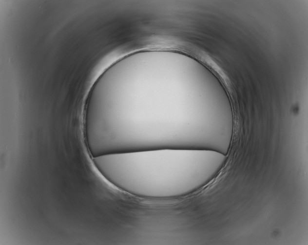 X0000102221487200807250734
