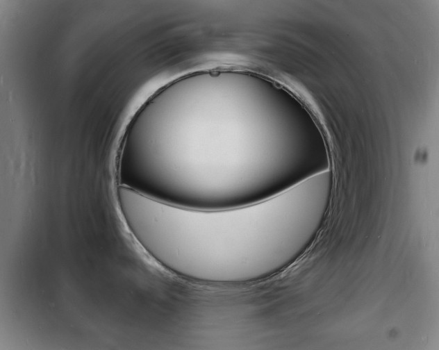 X0000102221488200807250734