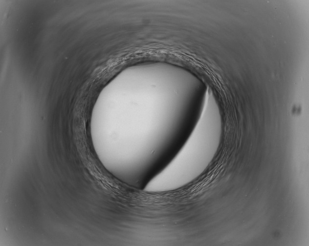X0000102221489200807250733