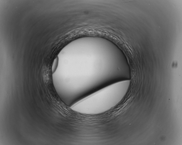 X0000102221490200807250733