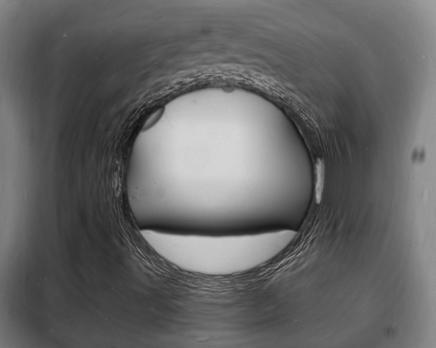 X0000102221491200807250733