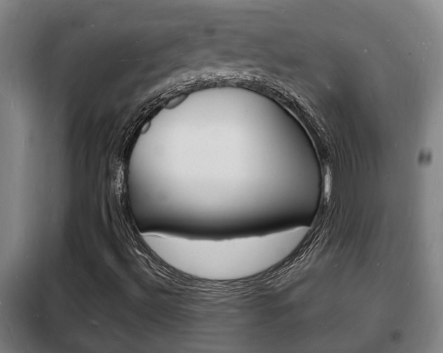 X0000102221492200807250733