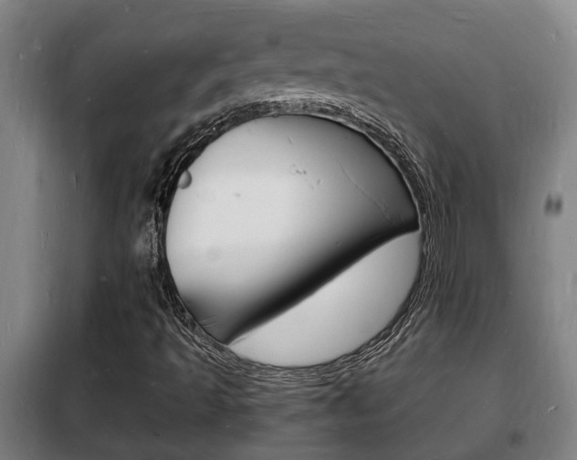 X0000102221493200807250733