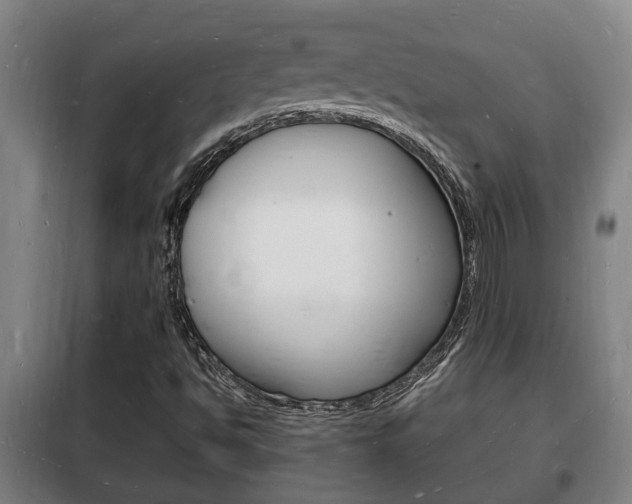 X0000102221494200807250733