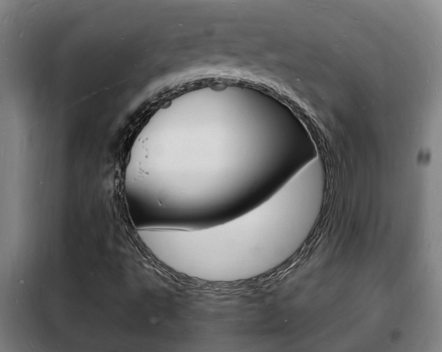 X0000102221495200807250733