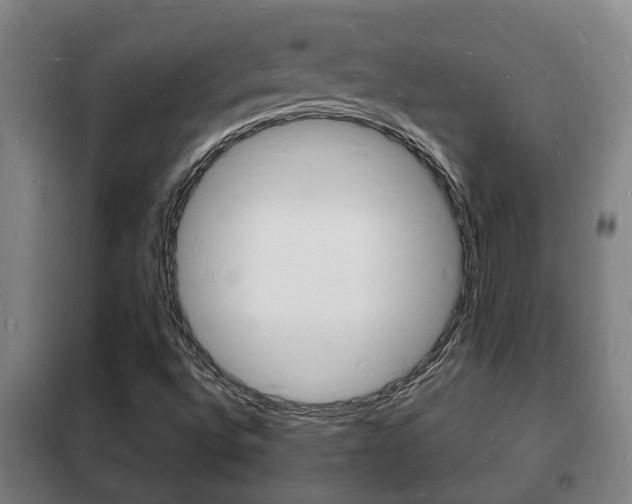 X0000102221496200807250733