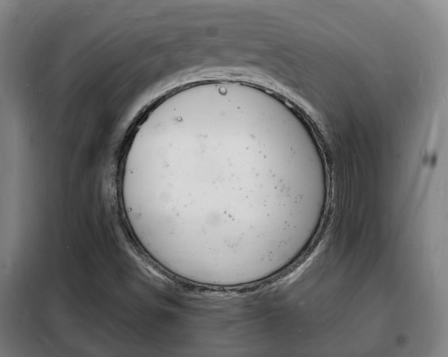 X0000102221498200807250733