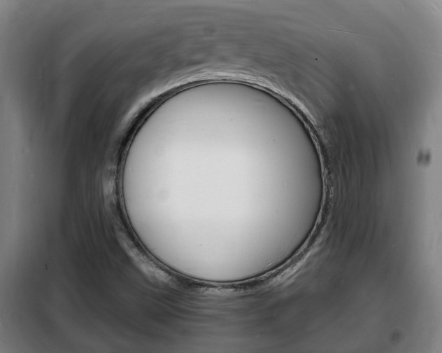 X0000102221499200807250733