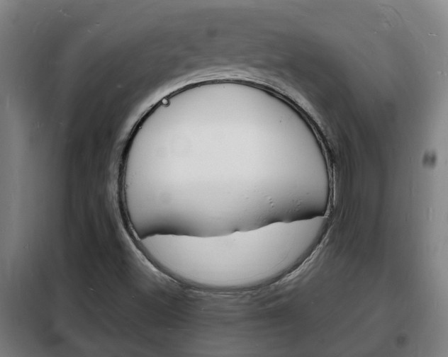 X0000102221500200807250733