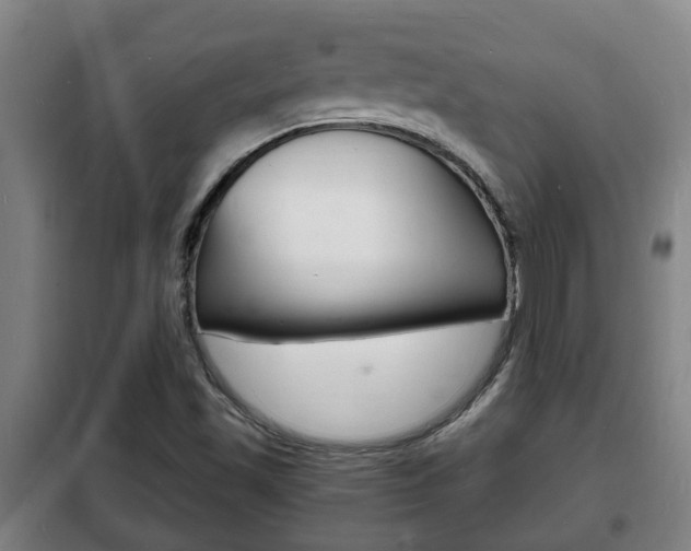 X0000102221501200807250733