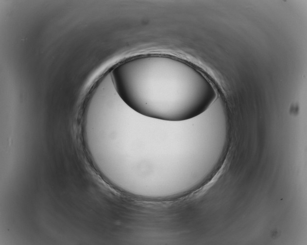 X0000102221502200807250734