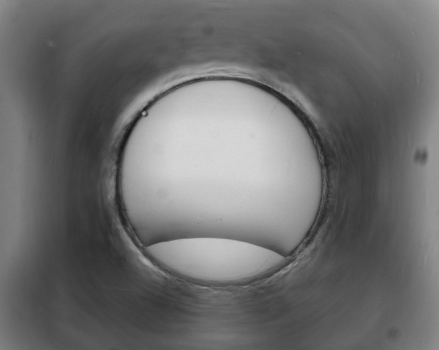 X0000102221504200807250734