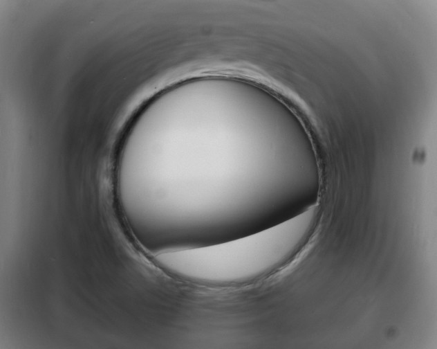 X0000102221506200807250734