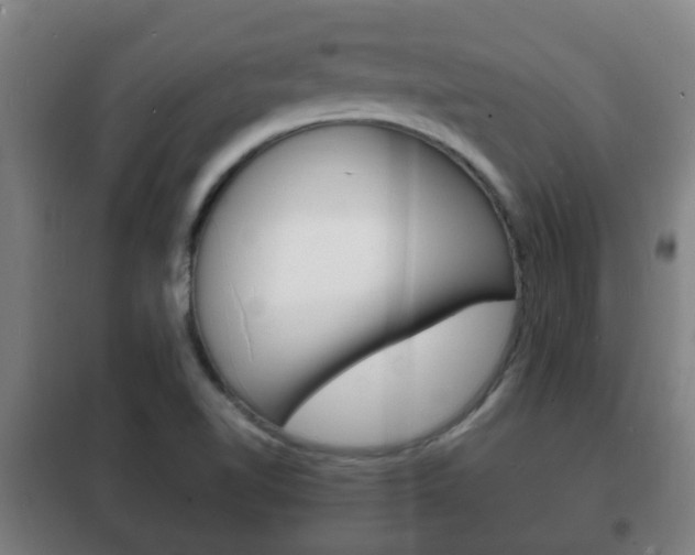 X0000102221510200807250734