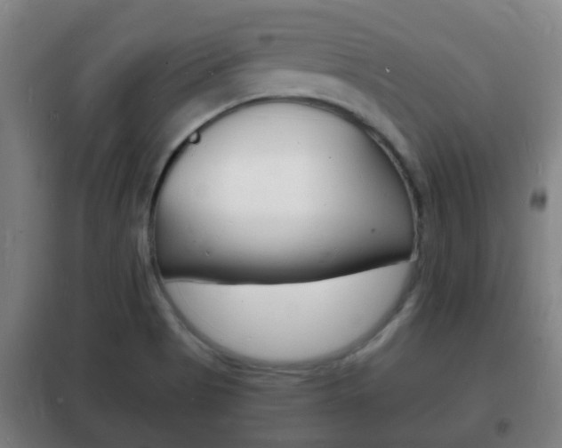X0000102221513200807250734