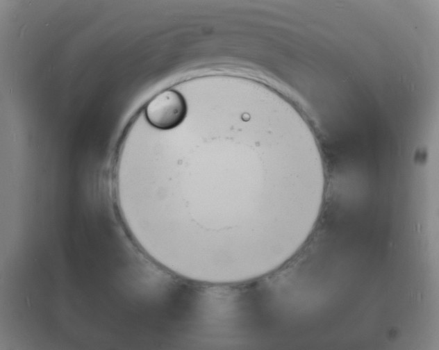 X0000102221514200807250734