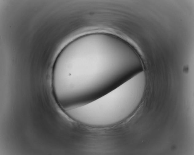 X0000102221516200807250734