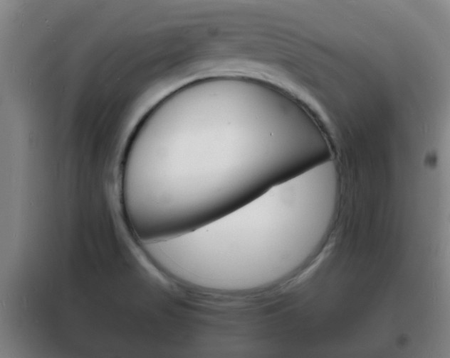 X0000102221517200807250734