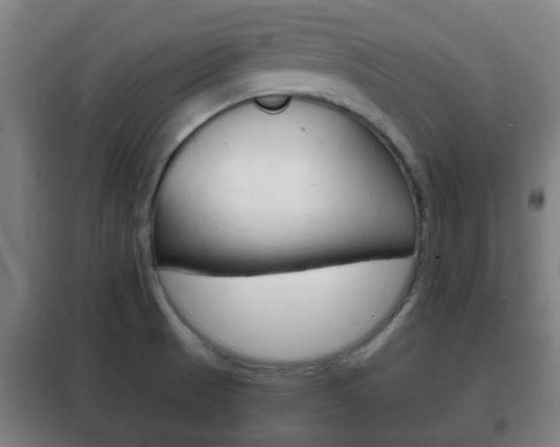 X0000102221521200807250734