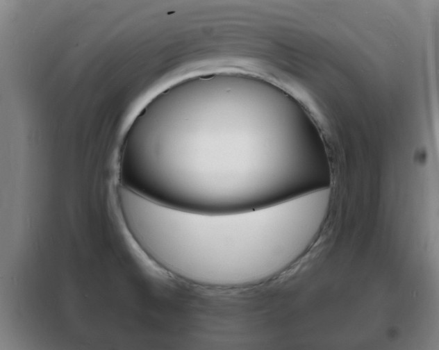 X0000102221524200807250734