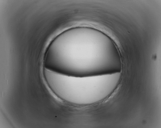 X0000102221525200807250734