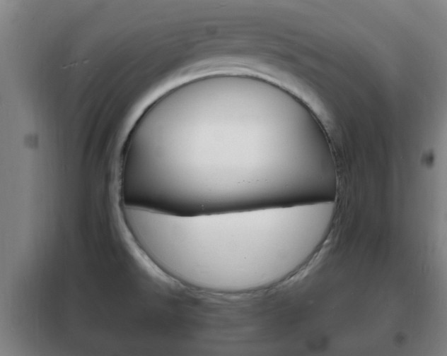 X0000102221526200807250734