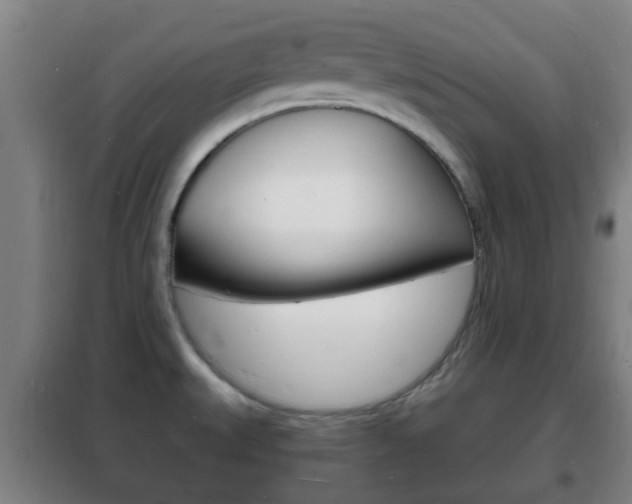 X0000102221527200807250734