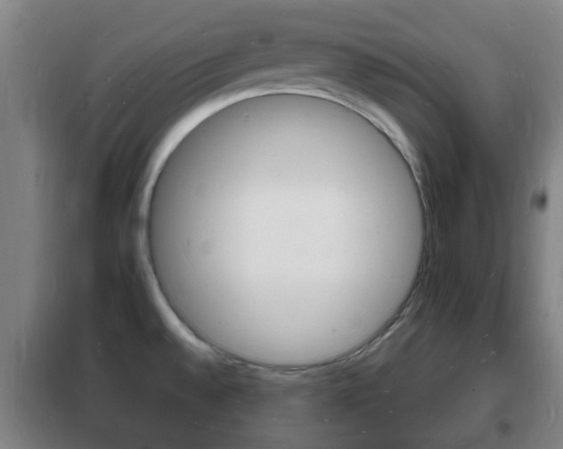X0000102221528200807250734