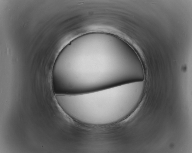 X0000102221529200807250734