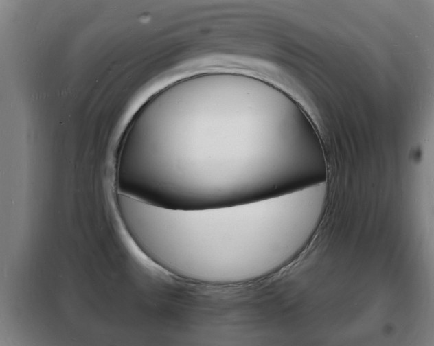 X0000102221531200807250734