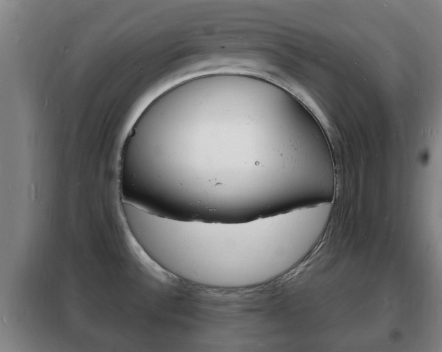 X0000102221532200807250734