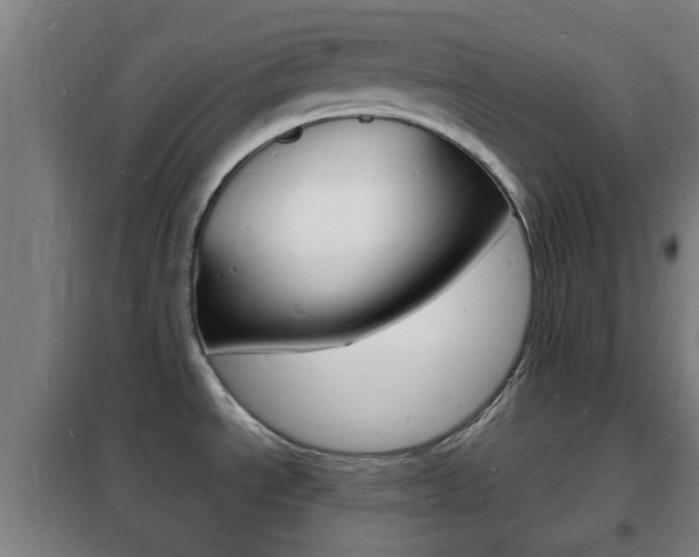 X0000102221534200807250734