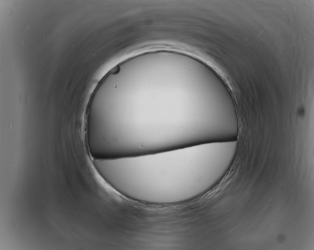 X0000102221535200807250734