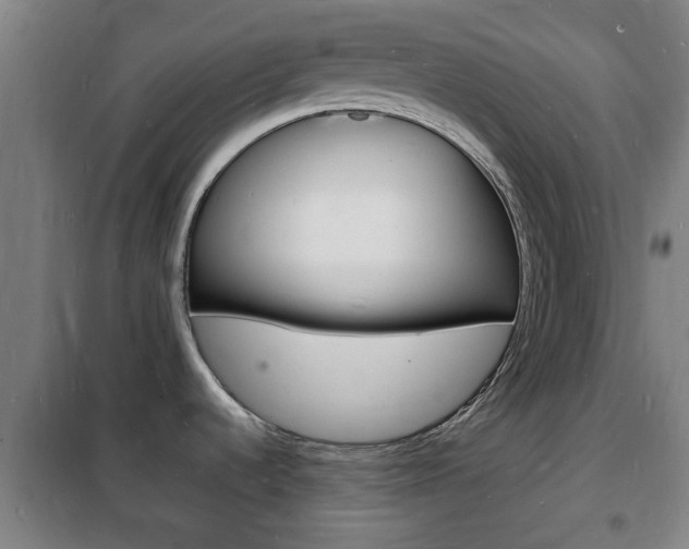 X0000102221536200807250734
